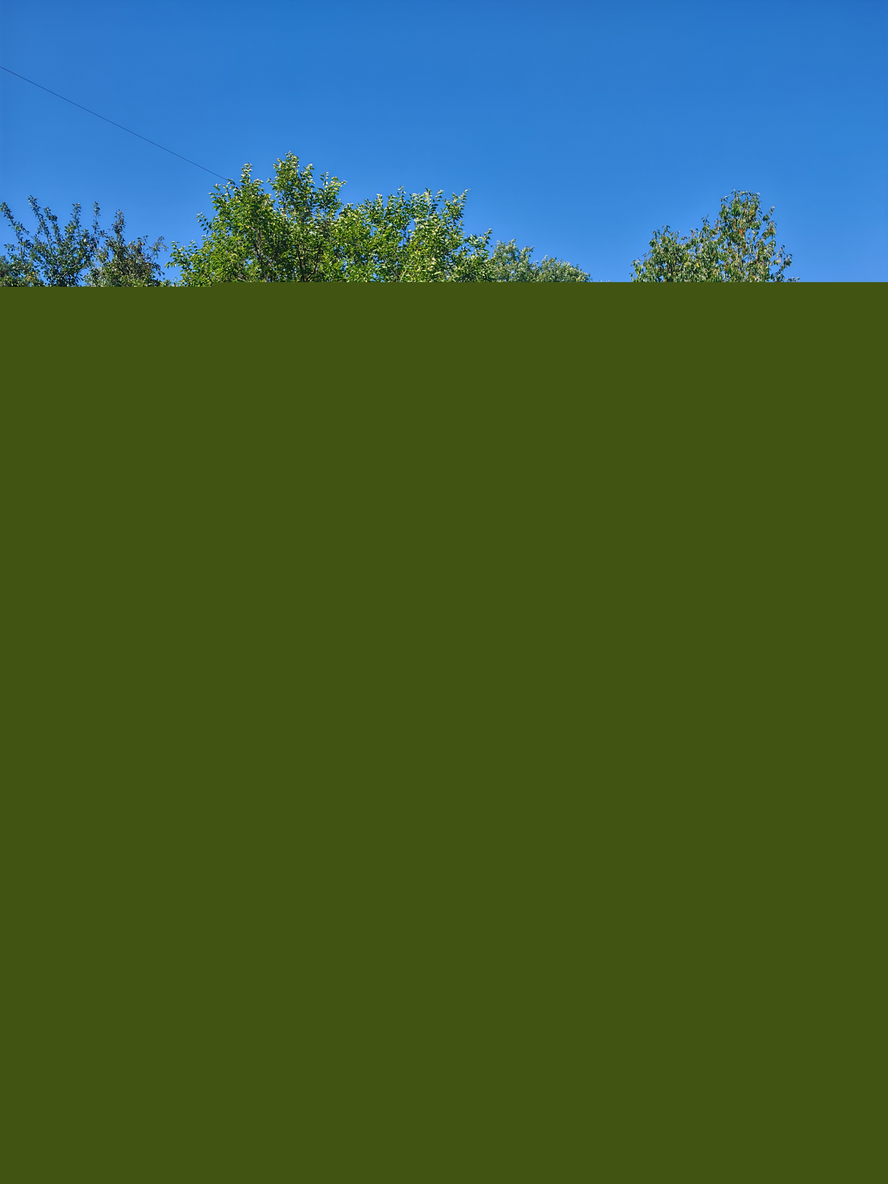 Camion benne Nissan Cabstar 3,5T